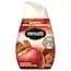 Renuzit DIA 03674 Apple Cinnamon Solid Air Freshener Each Buy Direct