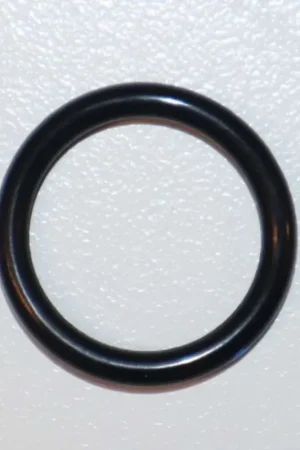 Rinnai 109000252 O Ring Buy Direct