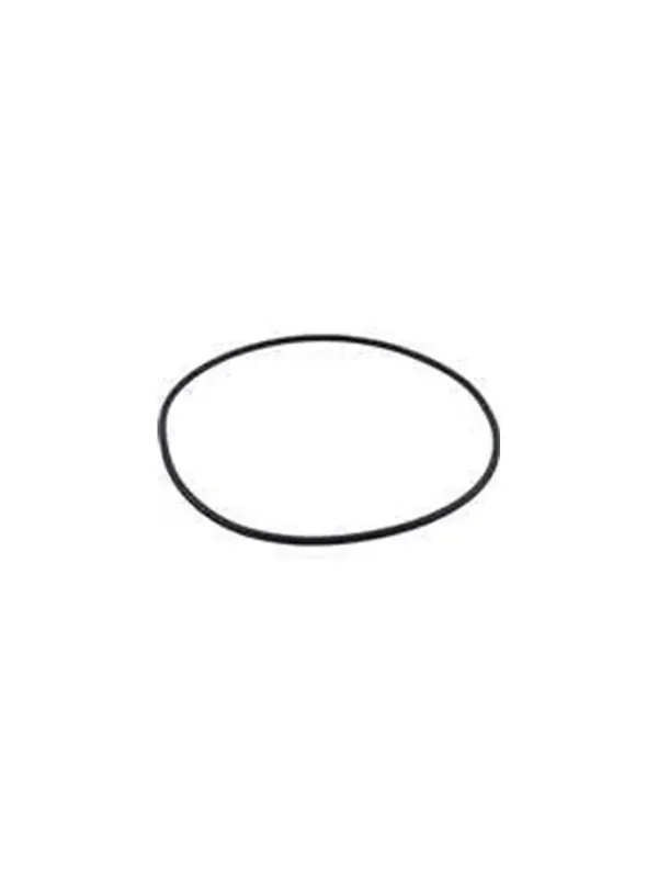 Aladdin Equipment O-185 22-Inch Pool Filter O-Ring Authentic